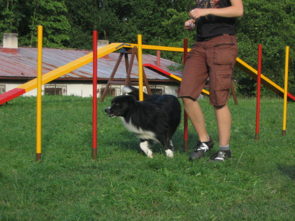 basikrendik3.jpg